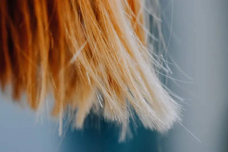 A detailed close-up of blonde hair strands with a soft and delicate focus, capturing the texture